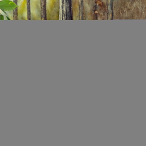 EuroGold Renkli Telli Oval Çatılı Kuş Kafesi 31x42x45cm