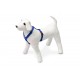 Karlıe Köpek Göğüs Tasması L Mavi 65-100x2,5