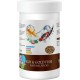 PETS FAMILY KOI & GOLD FISH NATURAL STICKS 1L/100G X 2 ADET