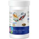 PETS FAMILY KOI & GOLD FISH MIX STICKS 1L/100G X 2 ADET