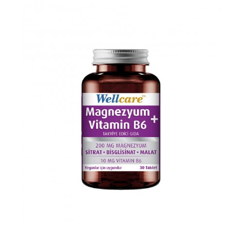 Wellcare Magnezyum ve Vitamin B6 30 Tablet | Kas ve Sinir Fonksiyonlarını Destekleyici ve Enerji Seviyelerini Yükseltmeye Yardımcı Takviye Gıda