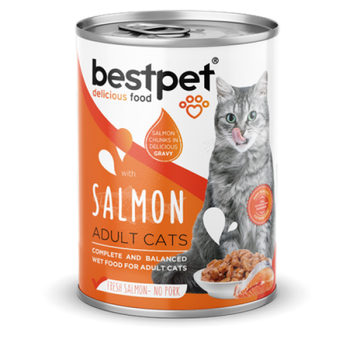 Bestpet Yetişkin Kediler İçin, Taze Somon Parça Etli Ve Soslu Yaş Mama 400 gr X 12 ADET 