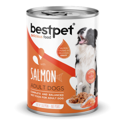 Bestpet Yetişkin Köpekler İçin, Taze Somon Parça Etli Ve Soslu Yaş Mama 400 gr X 12 ADET 