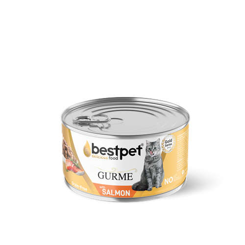 Bestpet Yetişkin Kediler İçin Tahılsız, Jöle İçinde Somon Balıklı Yaş Mama 85 gr X 24 ADET 