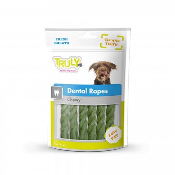 KÖPEK ÖDÜL VE KEMİKLER